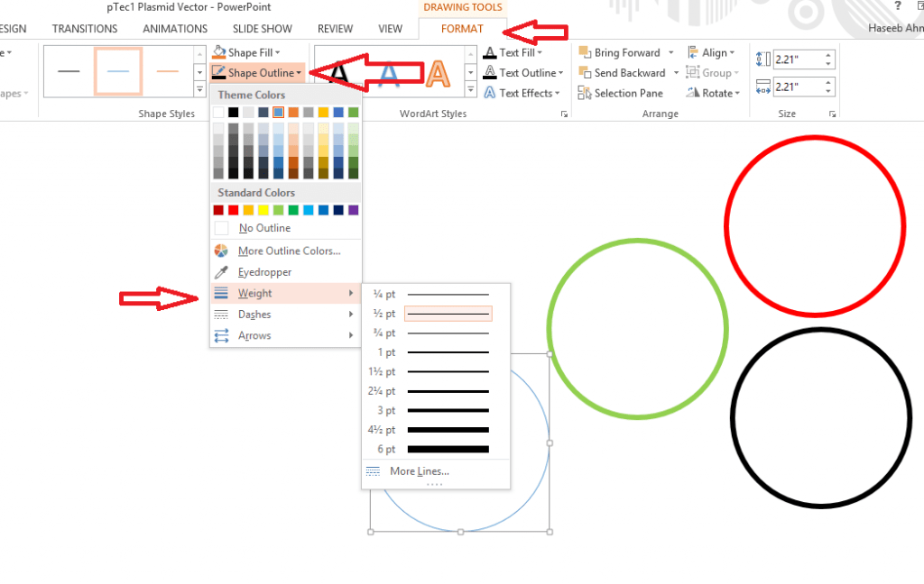 Draw important regions - Plasmid drawing using powerpoint