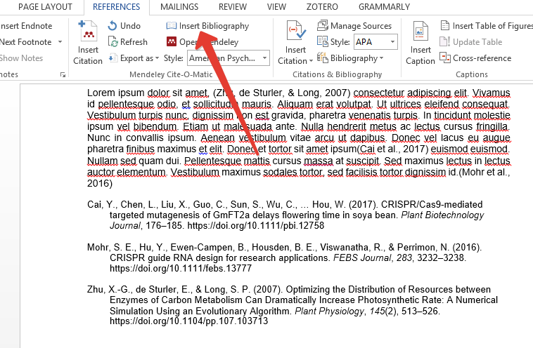 Insert Bibliography using Mendeley in Word