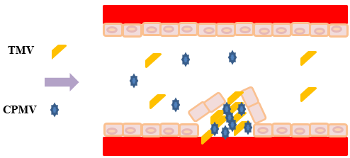 Bio Inspired Nanobiotechnology