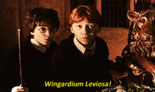 Harry potter - Wingardium Levisoa